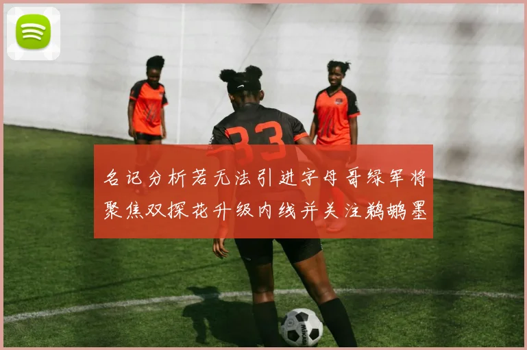 名记分析若无法引进字母哥绿军将聚焦双探花升级内线并关注鹈鹕墨菲